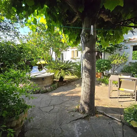 : Charmante Maison Et Jardin Arbore En