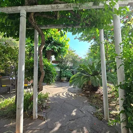 : Charmante Maison Et Jardin Arbore En *