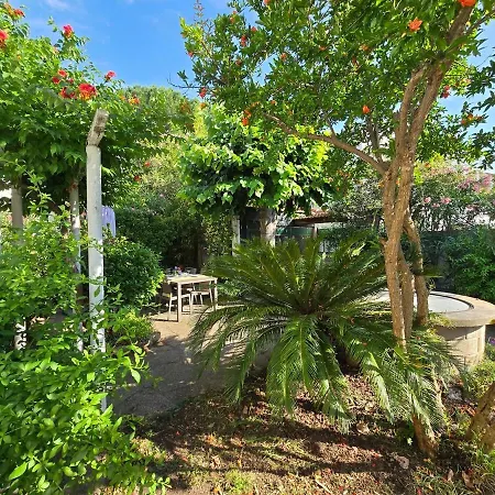 : Charmante Maison Et Jardin Arbore En Montpellier